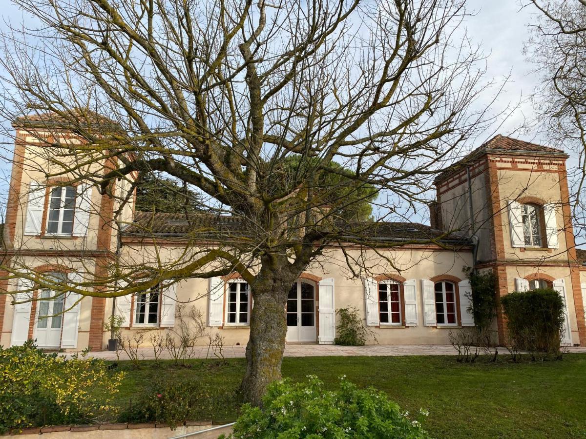 La Tarabelloise Exteriér fotografie